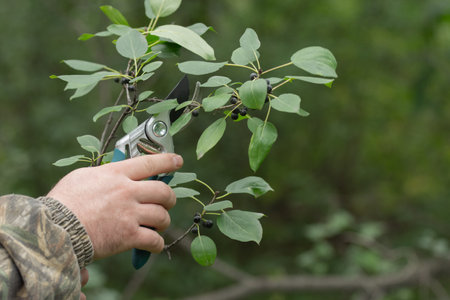 hand hold gardening scissors, hobby and work.