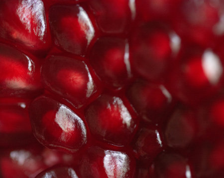 useful fruit, pomegranate. macro photo.の写真素材