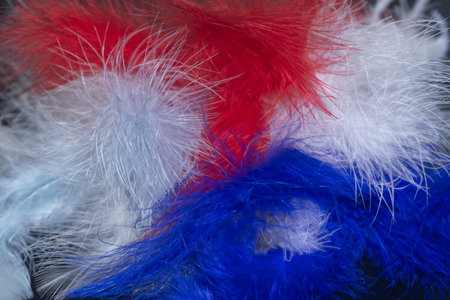 colored decorative feathers, top view.