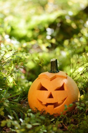Halloween scary pumpkin with a smile in autumn forestの写真素材