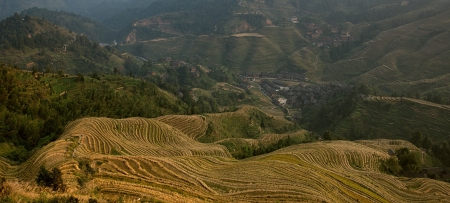 Longji rice terraces at sunset, Guangxi province, Chinaの写真素材