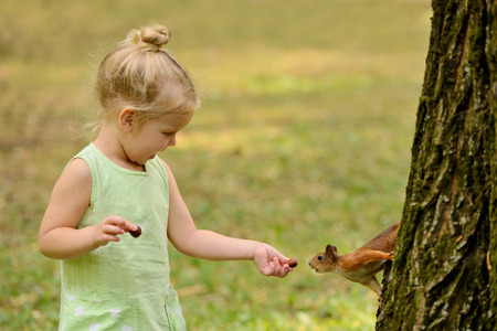 Kid girl feeds squirrel in the parkの写真素材