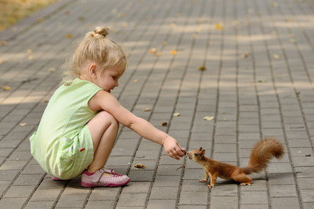 Kid girl feeds squirrel in the parkの写真素材