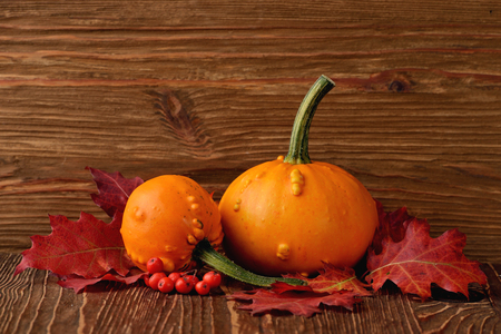 decorative pumpkins and autumn leaves for halloweenの写真素材