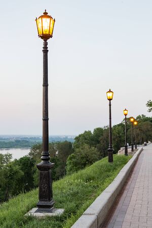 Glowing lights in the park in the eveningの写真素材