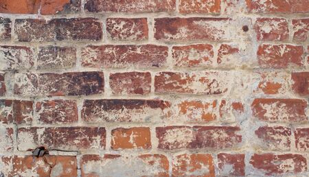 Red old brick wall background in the daytimeの写真素材