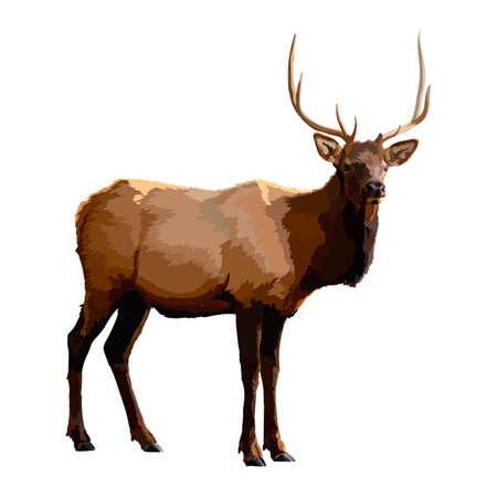 Elegant deer.Realistic icon vector illustration.のイラスト素材