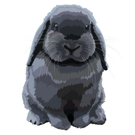 Beautiful rabbit realistic icon vector wild animal.のイラスト素材