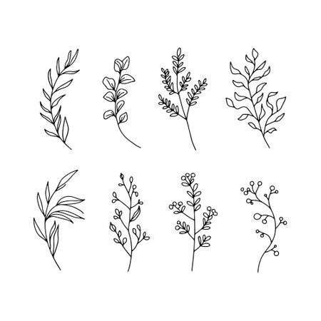 Line Botanical Herbs. A harmonious mix of botanical herbs and plants with graceful outlines, perfect for natural labels or delicate compositions.のイラスト素材