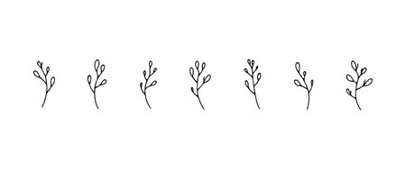 Fine Botanical Drawing. Fine Botanical Drawing captures a light hand-drawn plant perfect for minimal and naturalistic visual compositions.のイラスト素材