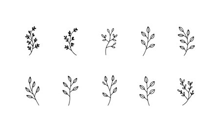 Minimal leafy branches sketched with thin lines and natural shapes. This soft collection suits eco-branding, stationery, or repeating patterns where subtle detail is key to organic design flow.のイラスト素材
