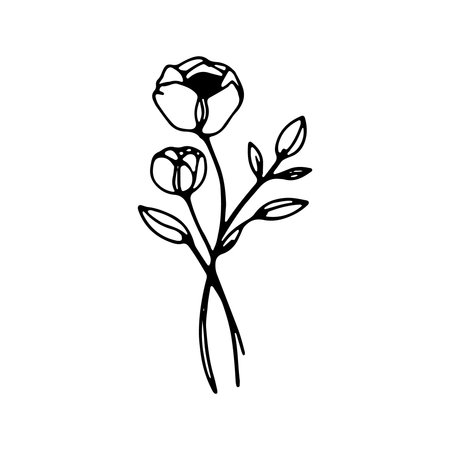 Elegant line art design featuring blooming roses and delicate leaves for modern decor inspirationのイラスト素材
