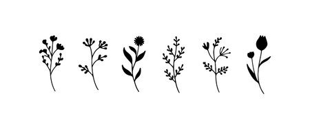 Simplified Botanical Sprigs. Simplified floral sprigs with oval petals and minimal hand-drawn elegance in black and white.のイラスト素材