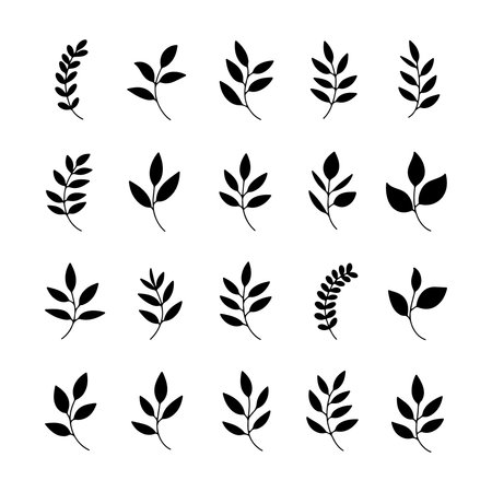 Various leaf silhouettes arranged in a grid pattern showcasing diverse plant shapes and sizes in minimalistic black designのイラスト素材