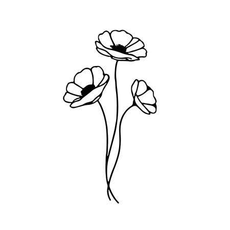 Delicate outline of three blooming flowers with slender stems against a plain backgroundのイラスト素材