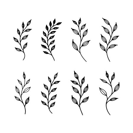 Botanical illustrations of stylized leaf designs in black ink on white background showcasing various shapes and arrangementsのイラスト素材