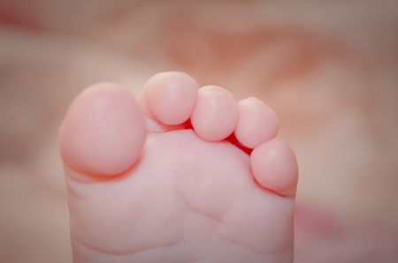 Cute toes of baby in pastel tonesの写真素材