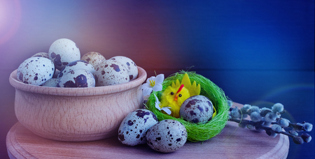 Easter card with quail eggs, willow branches and chick in the nest on dark background with empty...