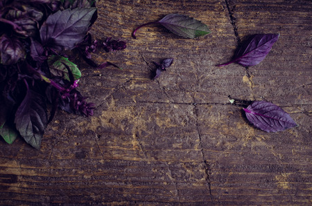 Fresh purple basil on old rustic wooden background with place for text. Top view. Copy space.の写真素材