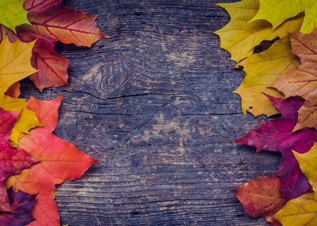 Autumn background with colorful fall maple leaves on rustic wooden table with place for text....