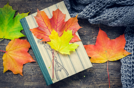 Autumn still life - Warm knitted scarf and a book on a rustic wooden table with colorful fall maple leaves. Old book, knitted sweater with autumn leaves. Autumn cozy background. Top view.の写真素材