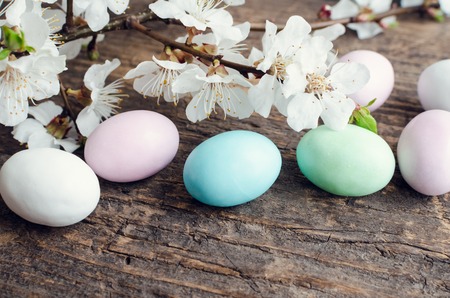 Easter eggs painted in pastel colors with spring cherry blossom on old rustic wooden background with...