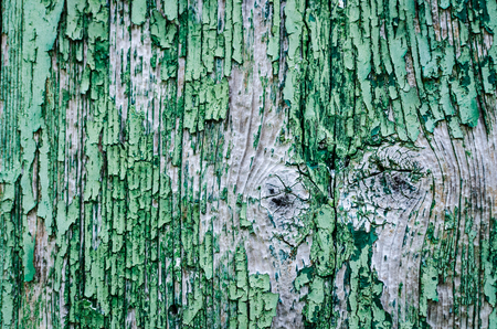 Old wood texture for background. Vintage painted green background from a wooden vertical shabby plank. Rustic wood texture. Background old panels. Copy space.の写真素材