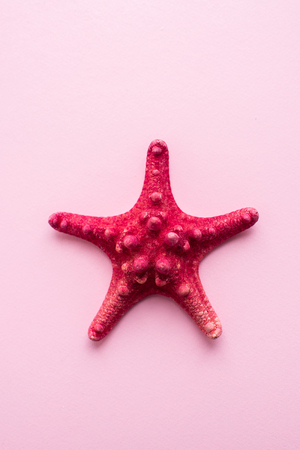 Summer time sea vacation background with star fish on pink. Top view. Flat lay. Copy space.の写真素材