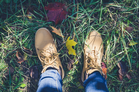 Casual unisex boots with colorful autumn fallen leaves. Autumn fall scene. Conceptual image of legs in boots and jeans on the autumn leaves. Lifestyle Fashion trendy style. Top view. Copy space.の写真素材