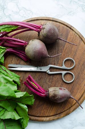 Process of preparing beetroot for cooking. Bunch of homegrown organic young beets with green leaves...