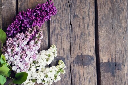Beautiful spring flowers lilac on a wooden vintage board with place for text.の写真素材