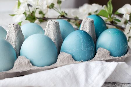 Row of  blue Easter eggs with spring cherry blossom.の写真素材