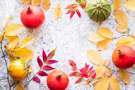 Bright autumn leaves and pumpkins on grey background with copy space for text. Beautiful autumn frame. Mockup for seasonal offers and holiday post card. Top view.の写真素材