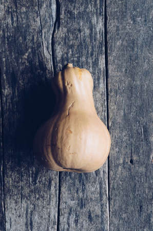 Fresh squash on the table, country autumn background. Seasonal harvest fall food concept. Top view.