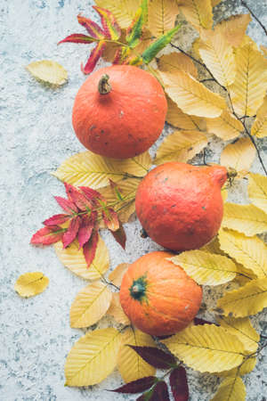 Bright autumn leaves and pumpkins on grey background with copy space for text. Beautiful autumn frame. Mockup for seasonal offers and holiday post card. Top view.の写真素材