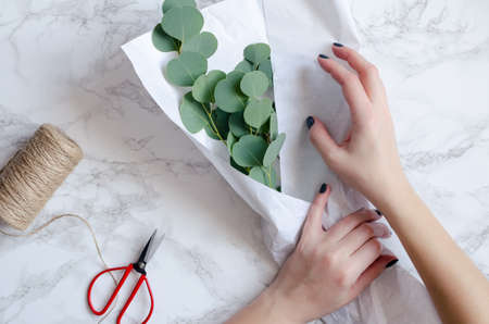 Florist hands make eucalyptus bouquet. Florist workplace background. Eucalyptus branches, tools set...