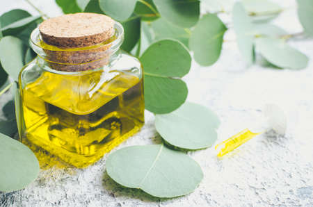 Eucalyptus essential oils in glass bottle. Oganic herbal aromatherapy concept.の写真素材