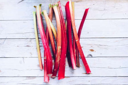 Bundle of fresh picked stalks of organic rhubarb