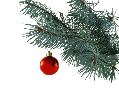 New Year's sphere on a branch of a fur-treeの写真素材