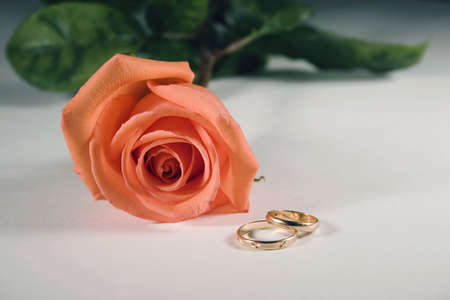 rose and ringsの写真素材