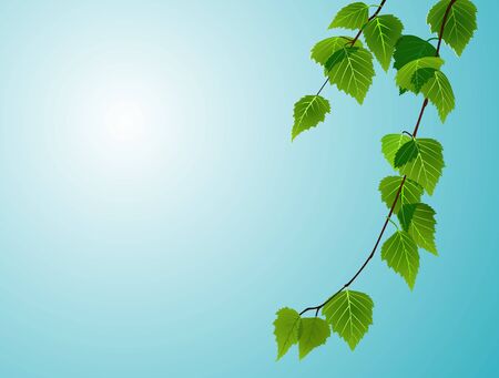 birch foliage on blue sky backgroundのイラスト素材