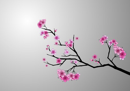 Japanese cherry blossomのイラスト素材