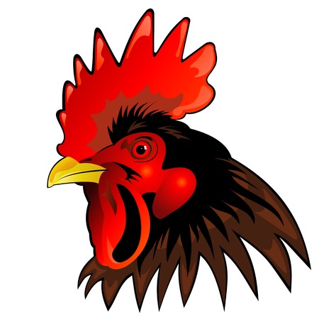 vector mascot of rooster headのイラスト素材