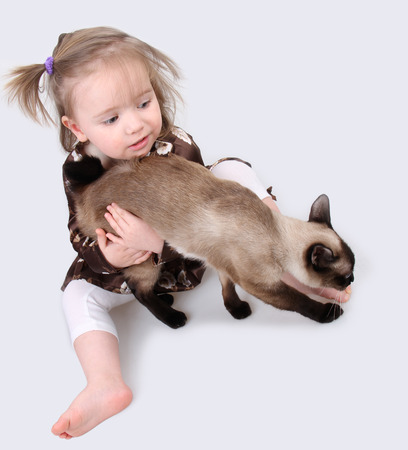 Baby girl sitting on a gray background with catの写真素材