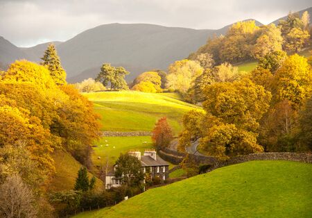 Beautiful colorful autumn dramatic landscape with sheep and cottage in the mountain village.の写真素材