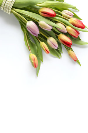 Bunch of fresh spring colorful flowers tulips on white backgroundの写真素材