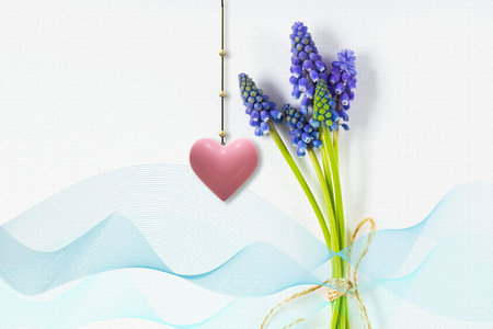 Festive spring blue flower composition on white background with ribbon and hanging 3d pink heartの写真素材