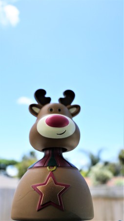 Shot of rain deer having a summer christmas holidayの写真素材