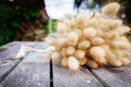 shot of beautiful wedding flower or bouquetの写真素材