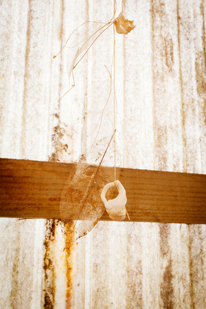 shot of beautiful wedding flower or bouquetの写真素材